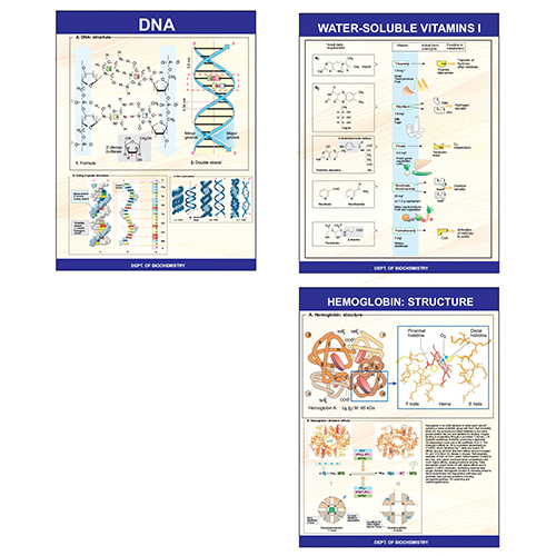 Chemistry Charts