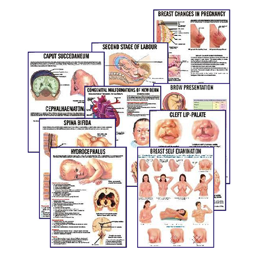 Nursing Charts