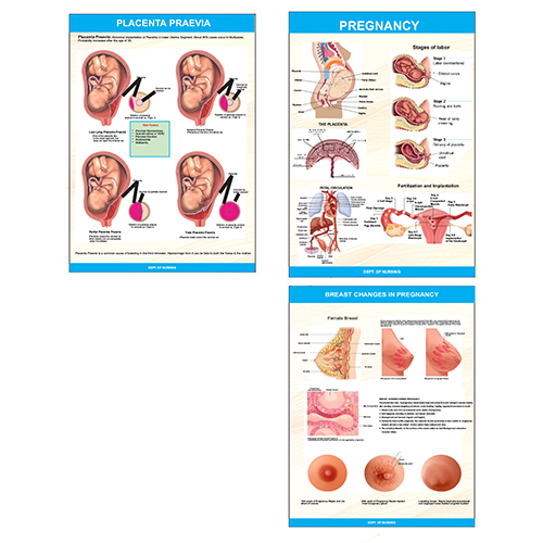 Nursing Charts