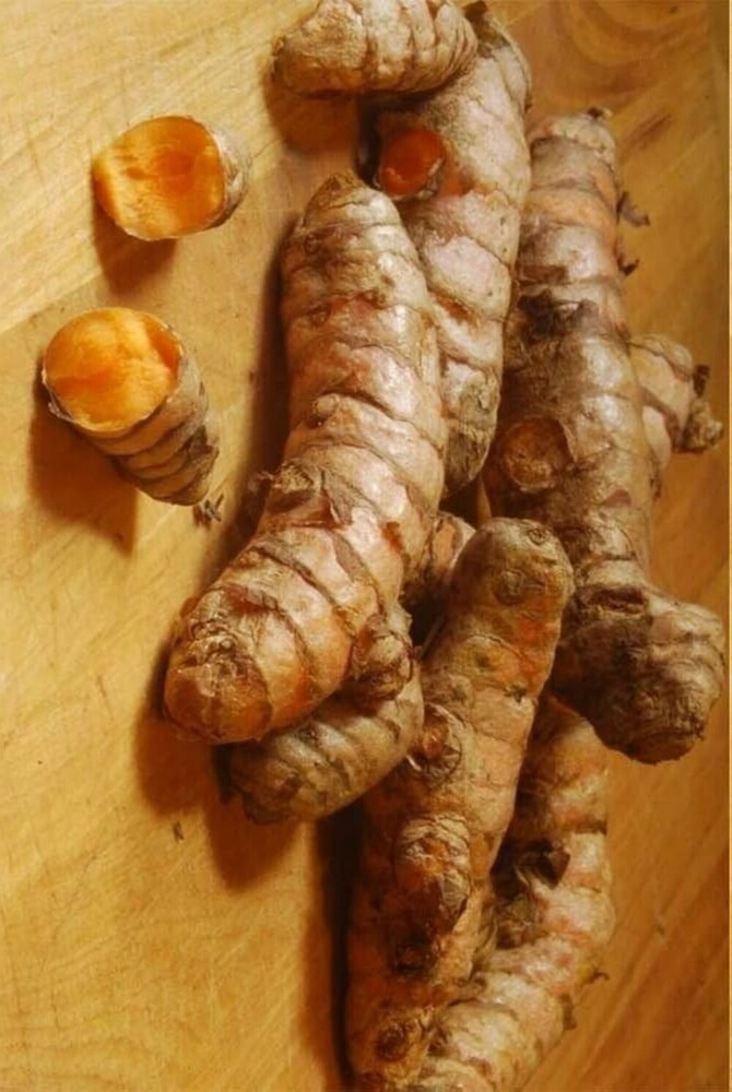 Turmeric Root - 5-15cm Length, 20-200g Weight | Orange Spice Root For Culinary Uses, Food Coloring, Dietary Supplement, Traditional Medicine