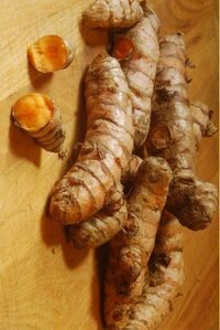 Turmeric Root