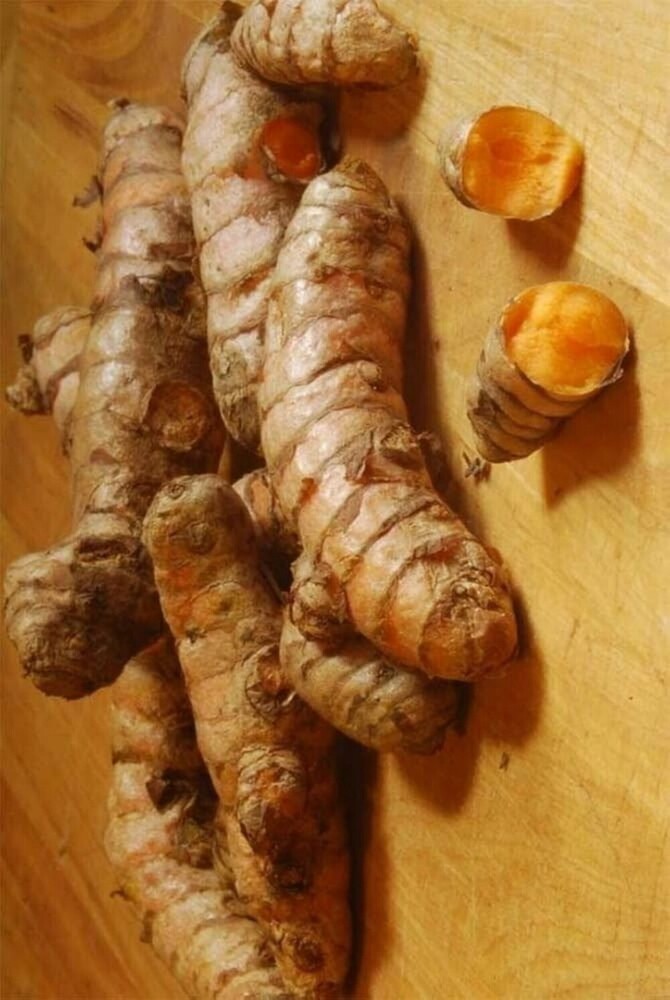 Turmeric Root - 5-15cm Length, 20-200g Weight | Orange Spice Root For Culinary Uses, Food Coloring, Dietary Supplement, Traditional Medicine