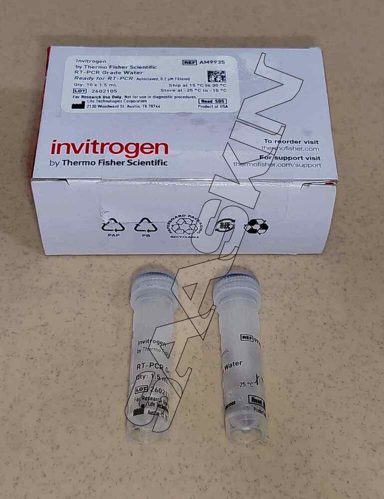 Thermo Fisher Scientific Invitrogen RT-PCR Grade Water