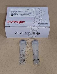 Thermo Fisher Scientific Invitrogen RT-PCR Grade Water