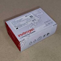 Thermo Fisher Scientific Invitrogen RT-PCR Grade Water