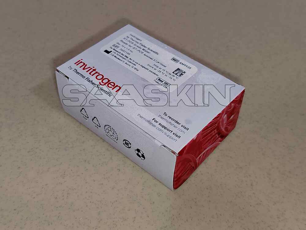Thermo Fisher Scientific Invitrogen RT-PCR Grade Water