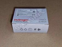 Thermo Fisher Scientific Invitrogen RT-PCR Grade Water