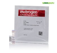Thermo Fisher Invitrogen SYBR Green I Nucleic Acid Gel Stain, 10,000X concentrate in DMSO