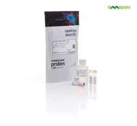 Thermo Fisher Qubit dsDNA Quantification Assay Kits