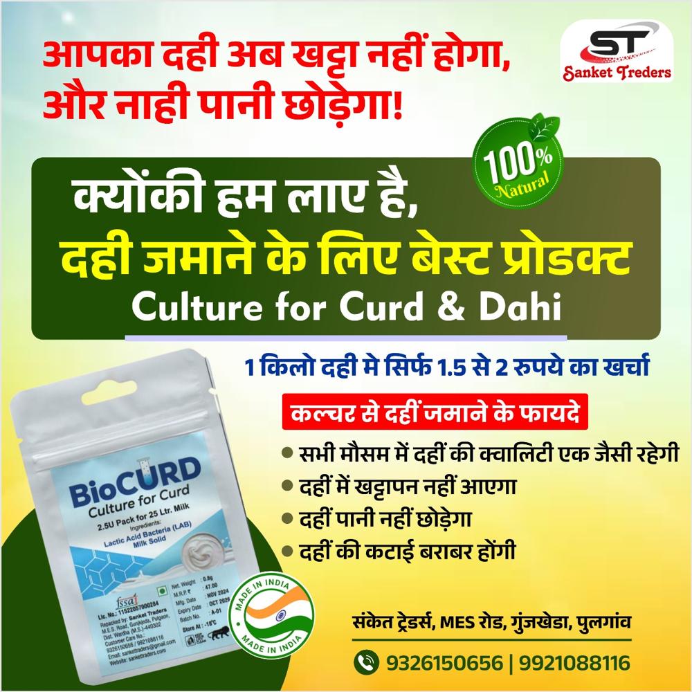 Curd /dahi culture