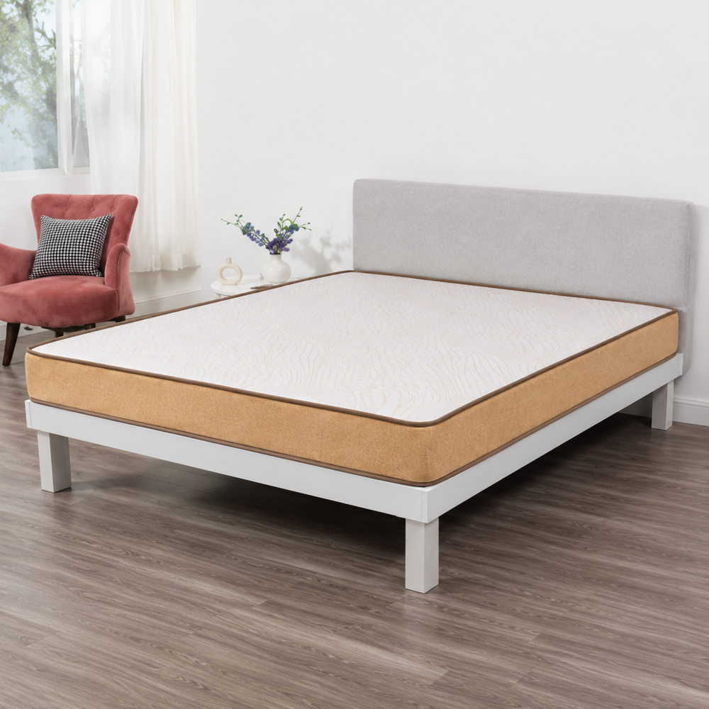 Zesty Plus - Color: White