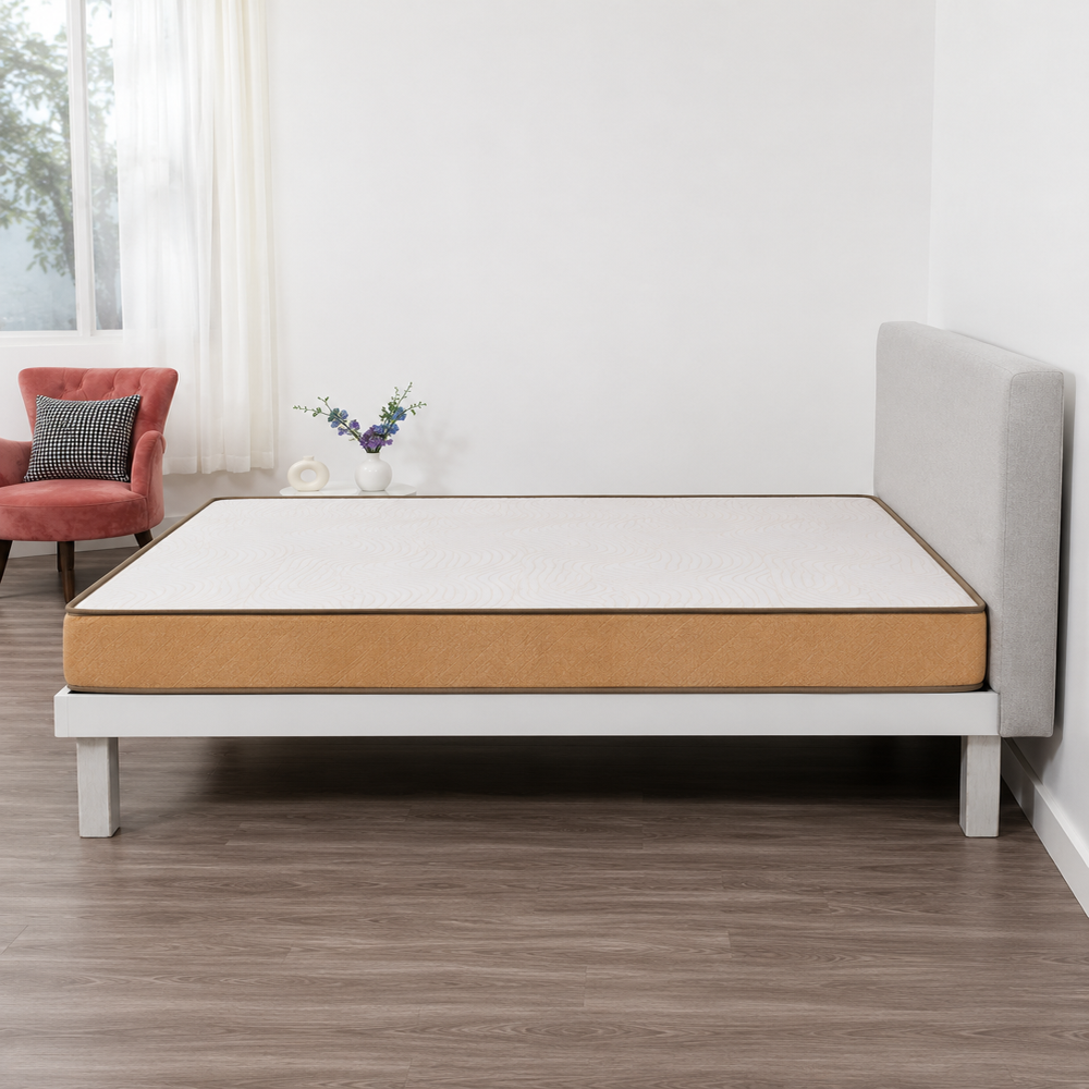 Zesty Plus - Color: White