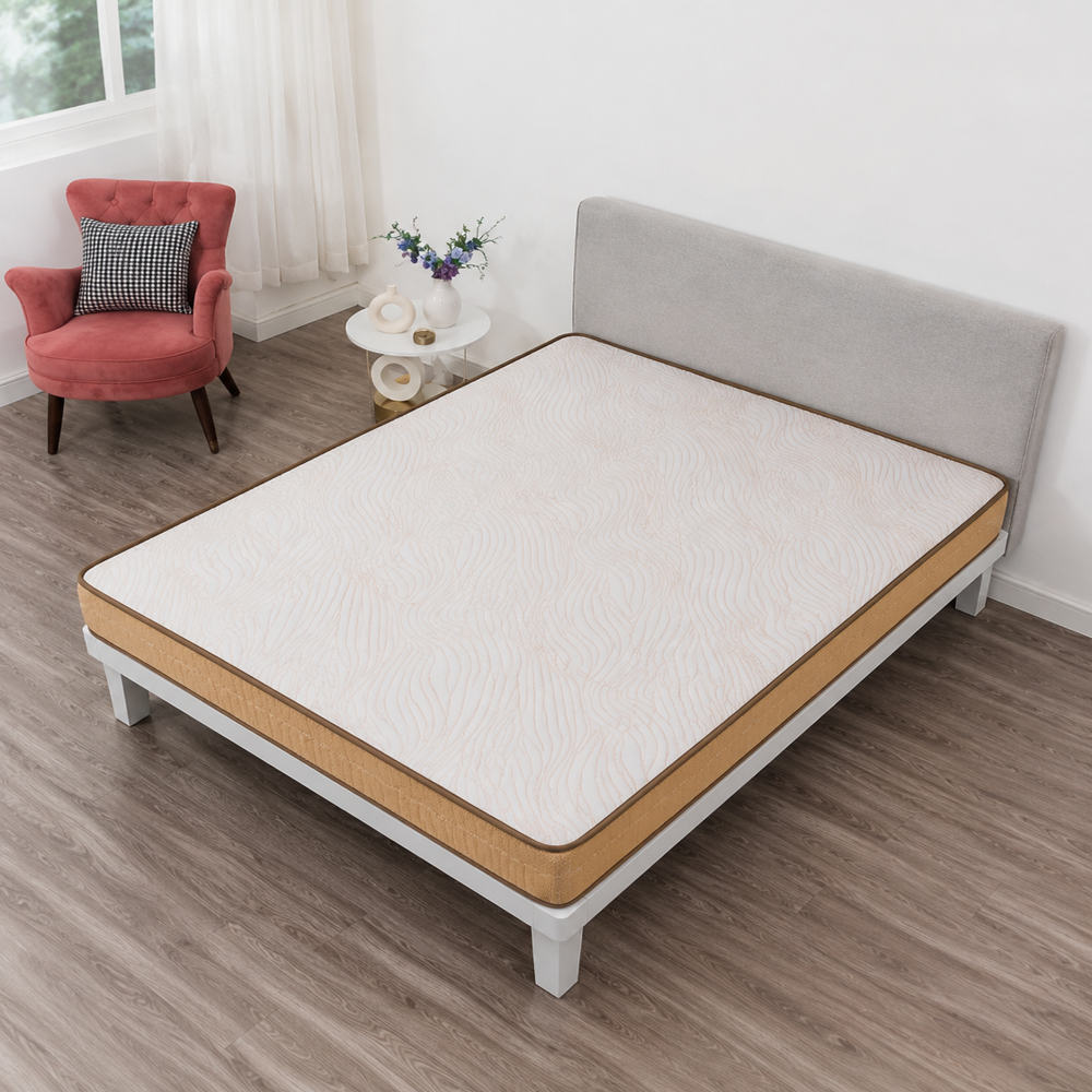 Zesty Plus - Color: White