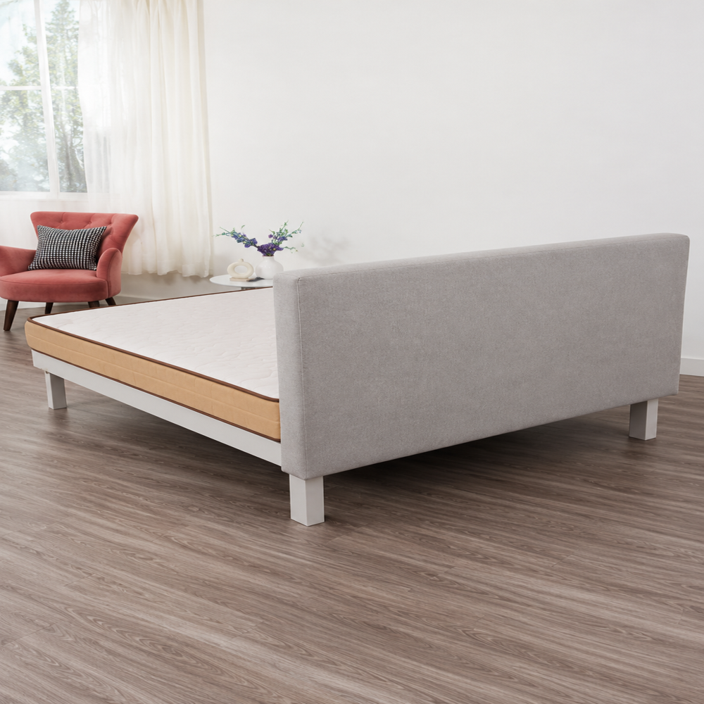 Zesty Plus - Color: White