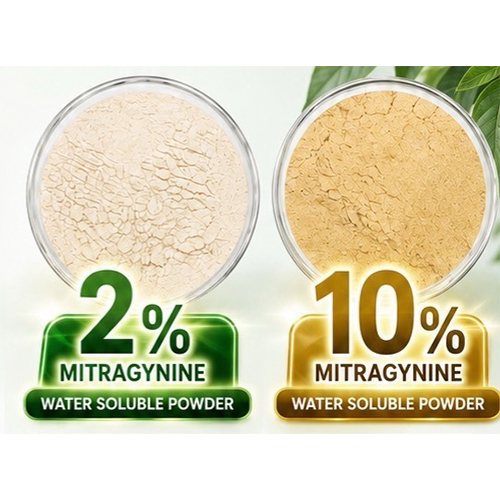 Mitragynine Extract Encapsulated Powder 10% (Water Soluble)