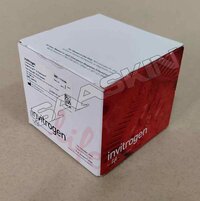 Thermo Fisher Scientific Invitrogen SuperScript III Platinum One-Step qRT-PCR Kit