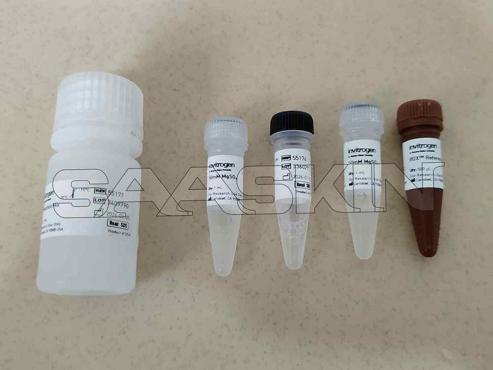 Thermo Fisher Scientific Invitrogen SuperScript III Platinum One-Step qRT-PCR Kit
