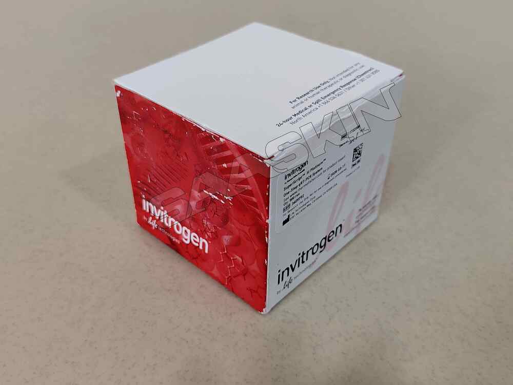 Thermo Fisher Scientific Invitrogen SuperScript III Platinum One-Step qRT-PCR Kit
