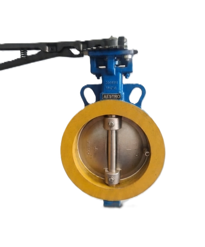 Spherical Butterfly Valve