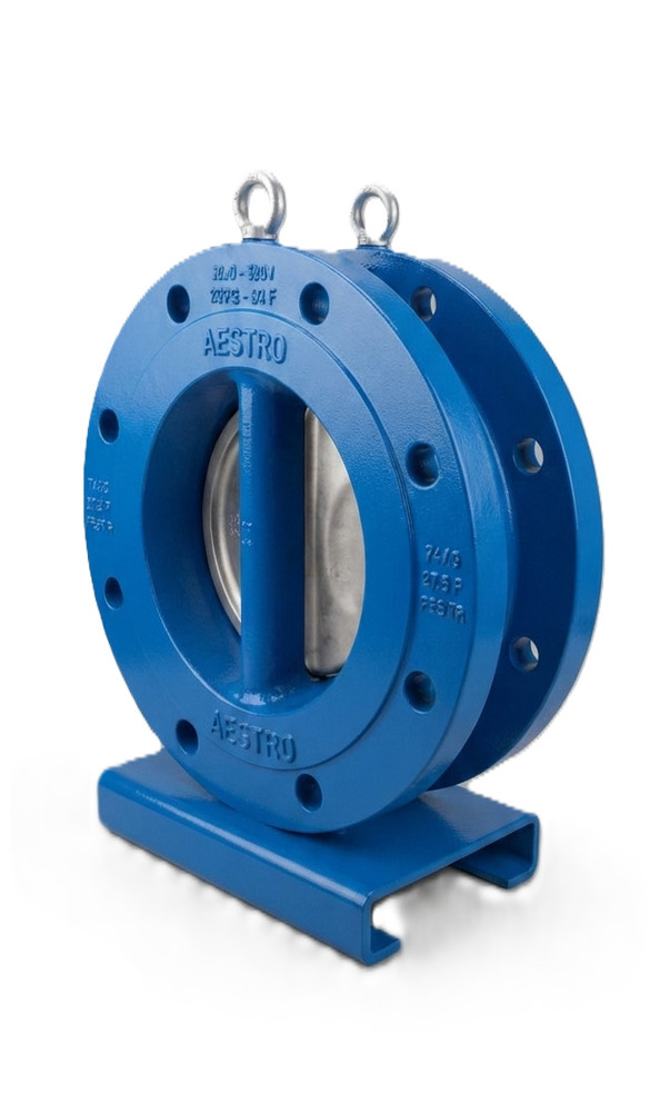 Dual Plate Check Valve