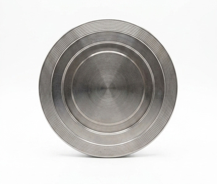 Disc Check Valve