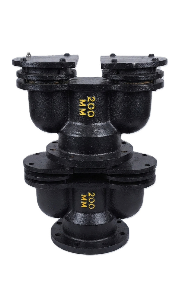 Double Acting Air Valve