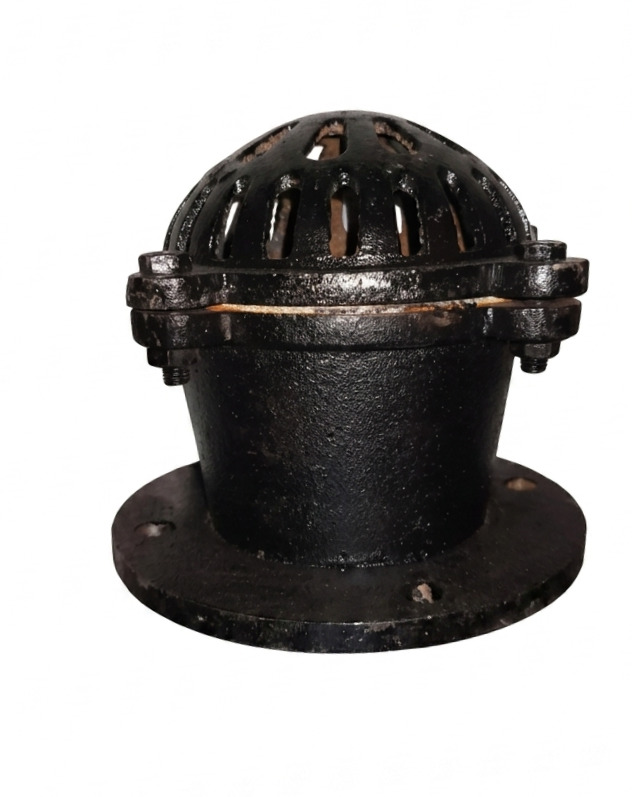 Foot Valve