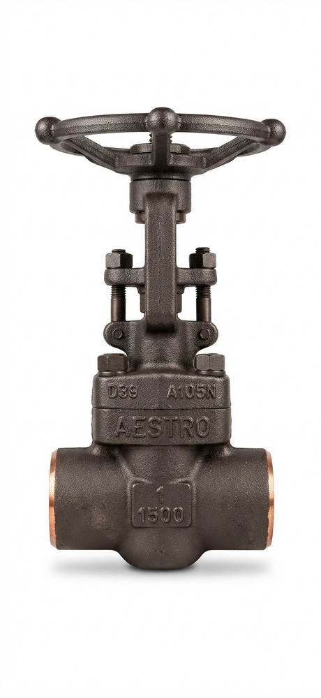 Forged Gate And Globe Valve