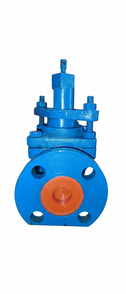 Plug Valve