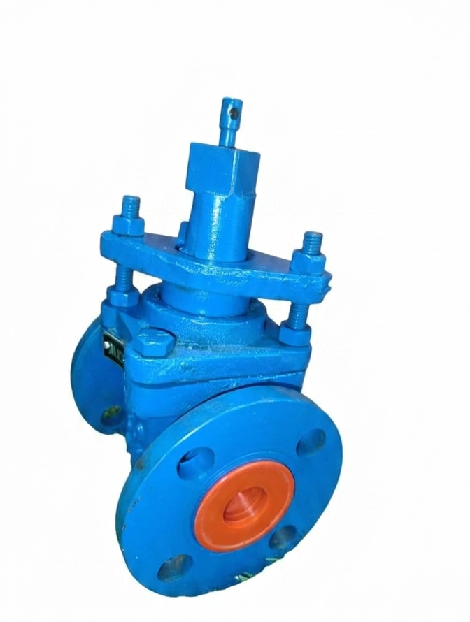 Plug Valve