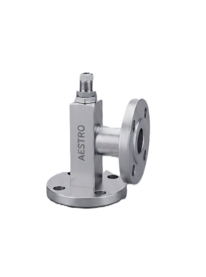SS Flanged Pressure Relief Valve