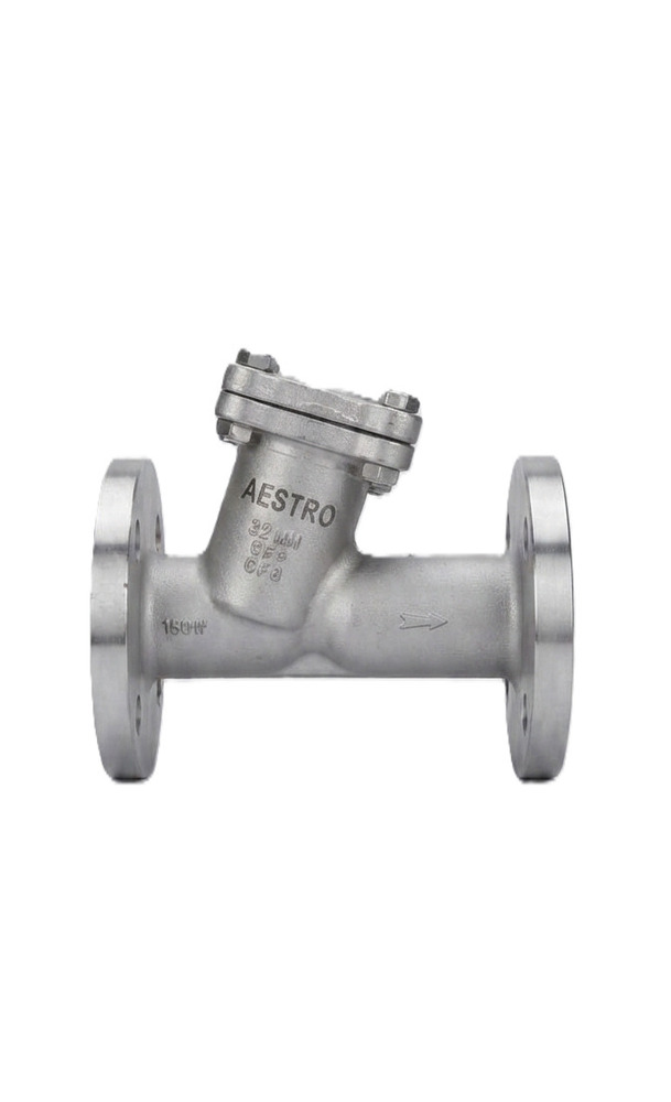 SS Y Type Flanged Strainer