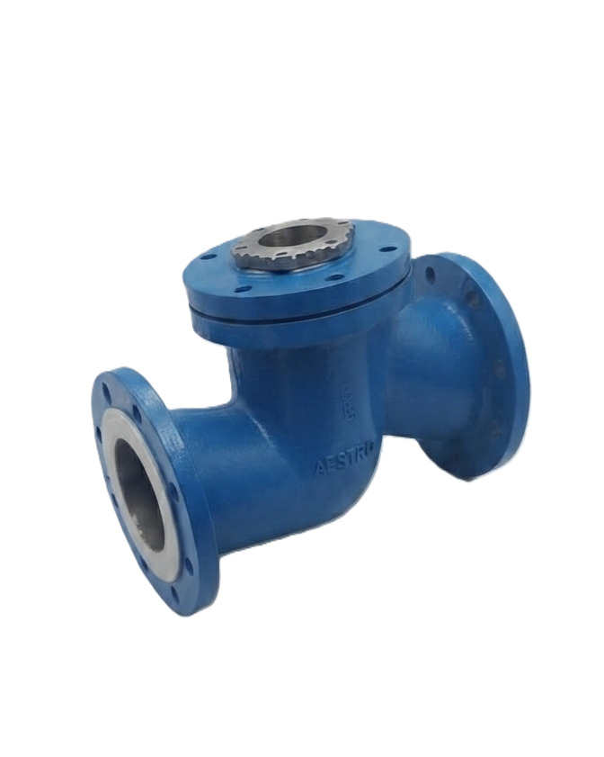 Y Type Flanged Strainer
