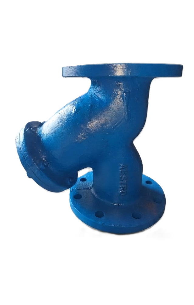 Y Type Flanged Strainer