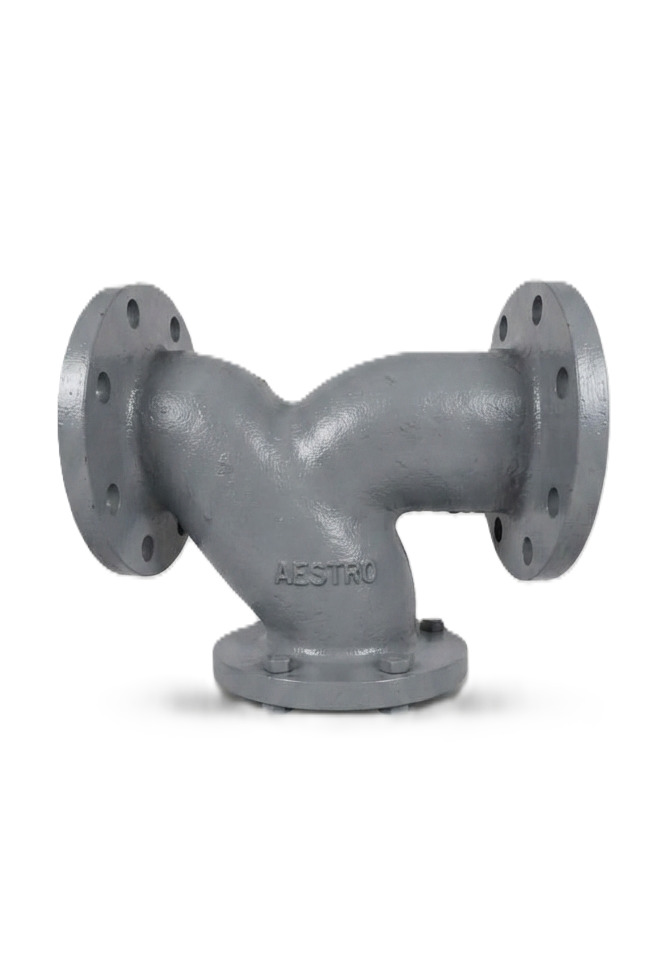 Y Type Flanged Strainer