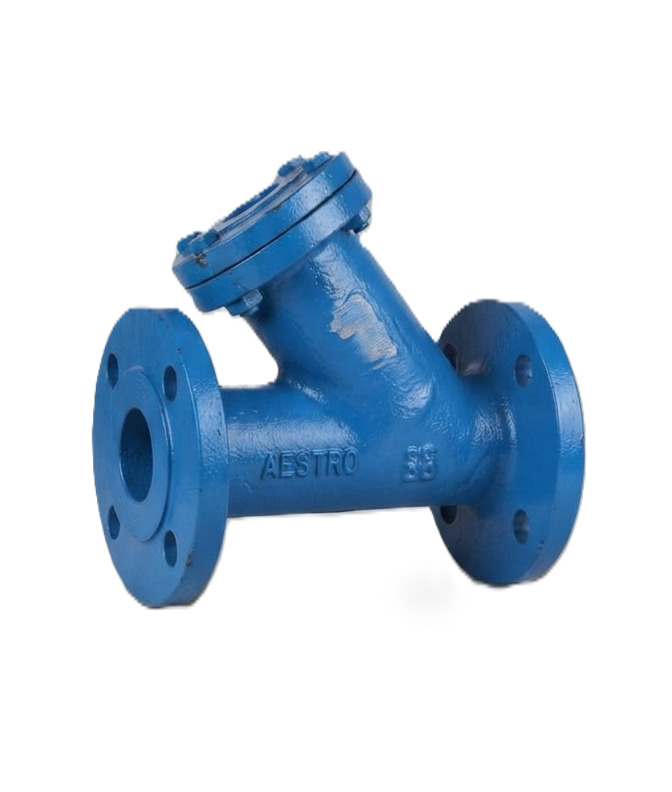 Y Type Flanged Strainer