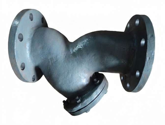 Y Type Flanged Strainer