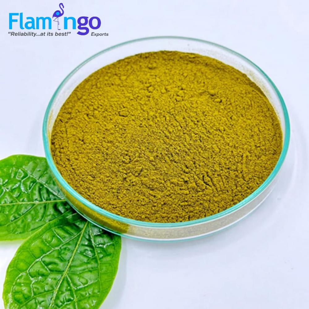 Gymnema Extract