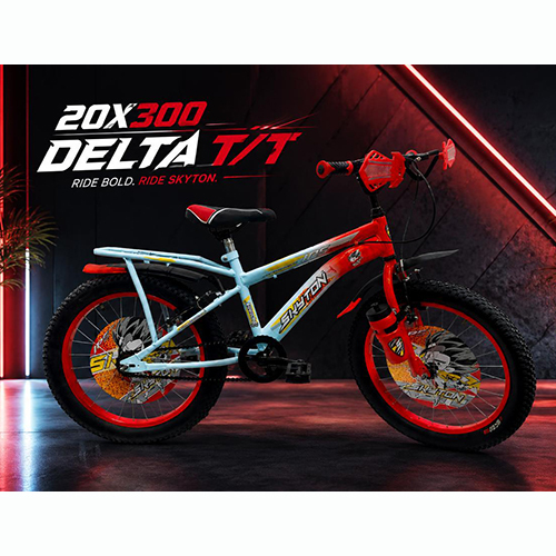20 x 300 Delta TT Kids Bicycle