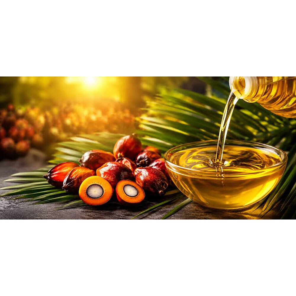 Refined Palmolein Oil