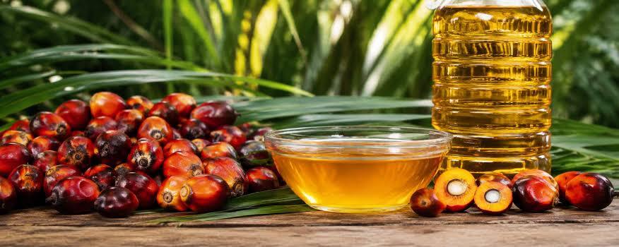 Refined Palmolein Oil - Application: Culinary