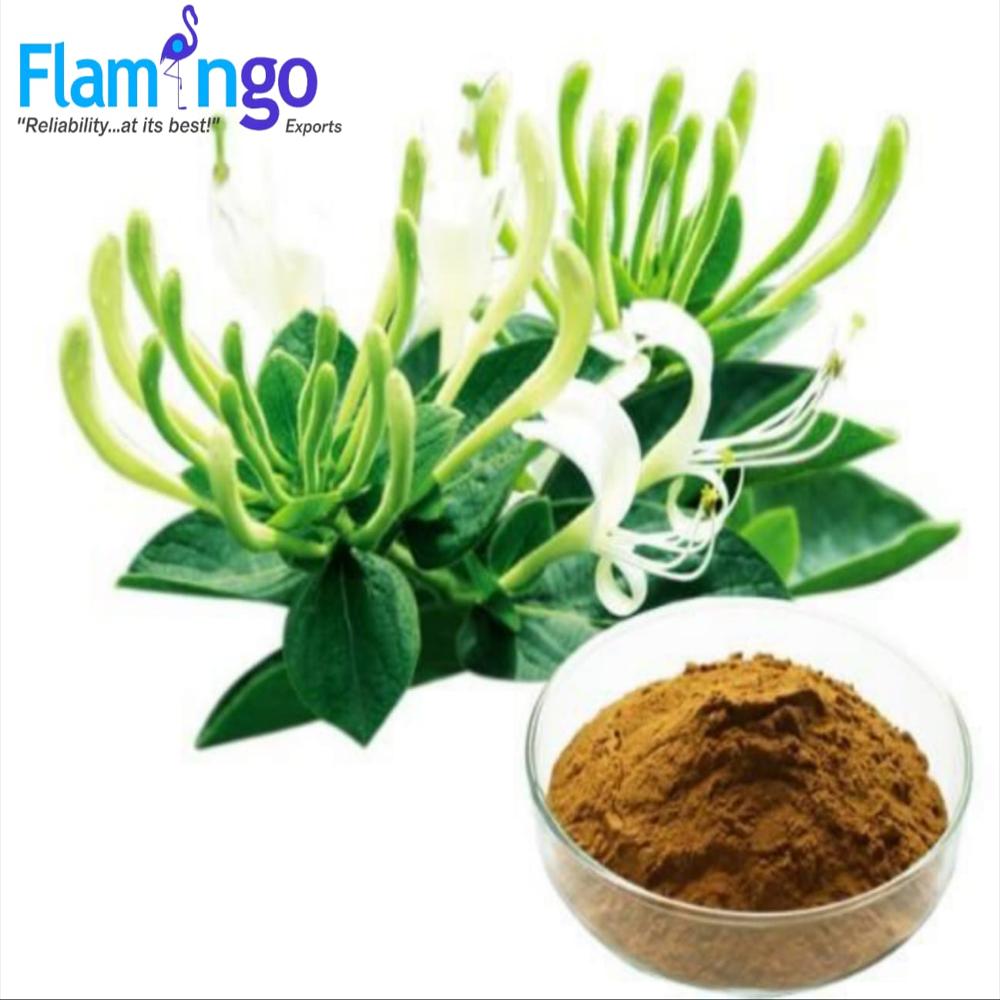 Honey Suckle Flower Extract