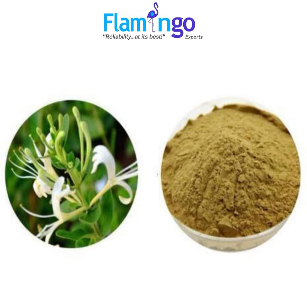 Honey Suckle Flower Extract