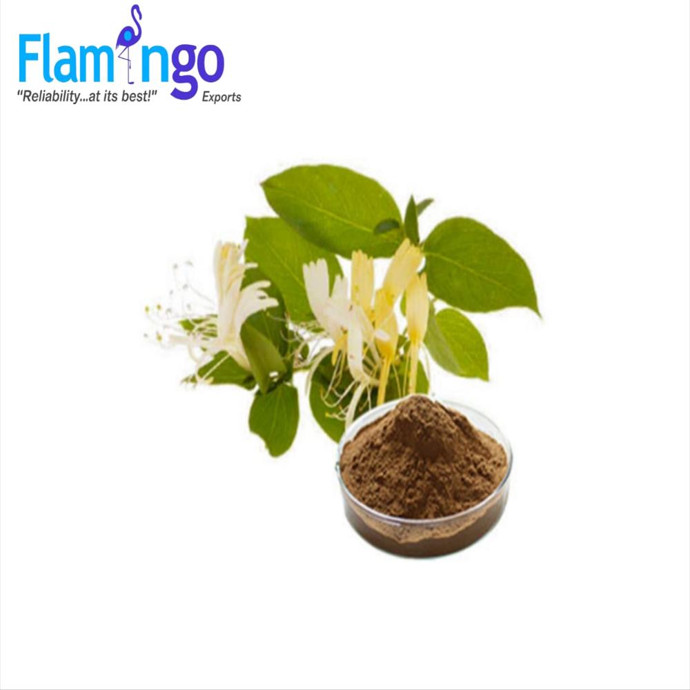 Honey Suckle Flower Extract