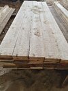 Uruguay Pine