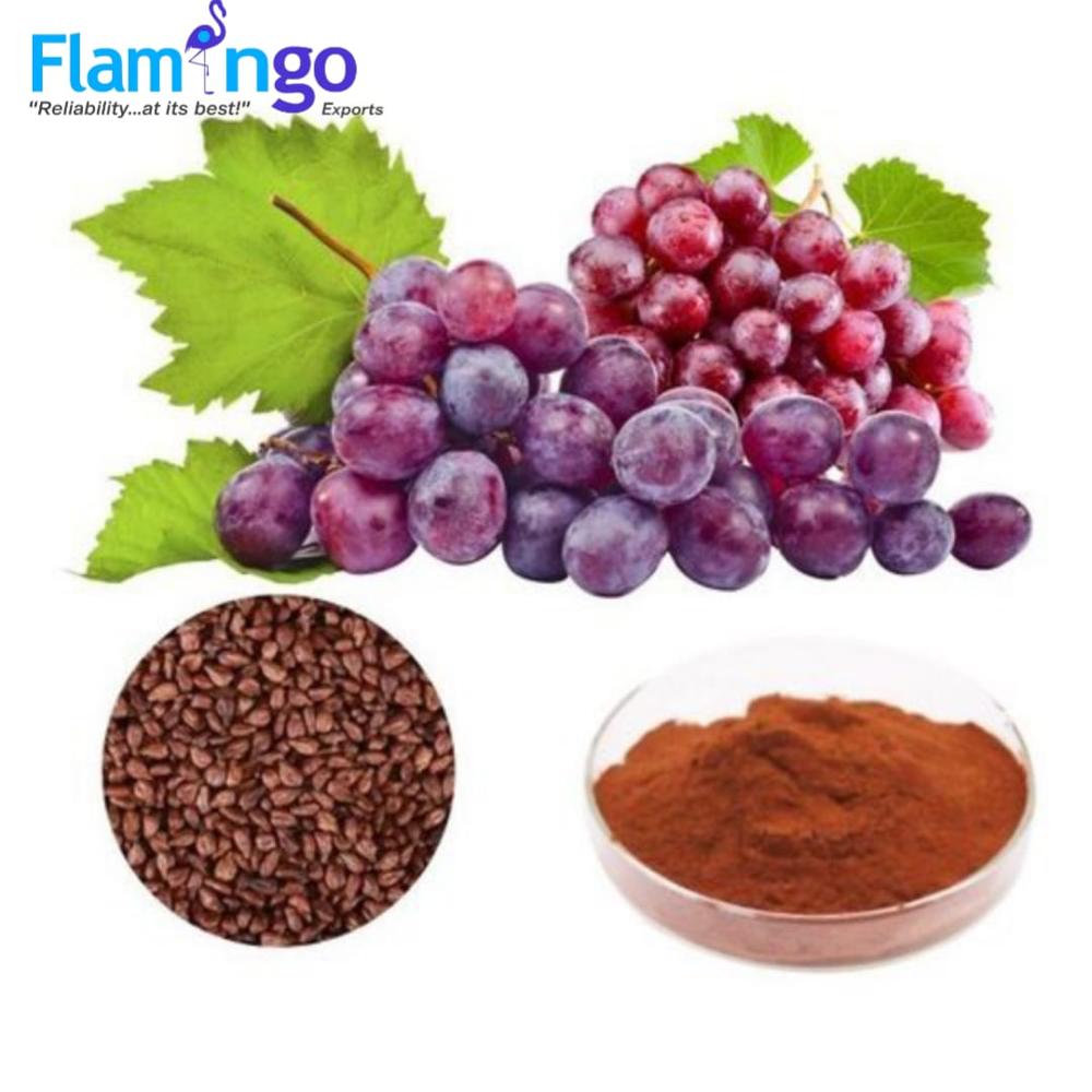 Grapes Seed Extracts - Grade: Food Grade