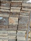 Australia Pine