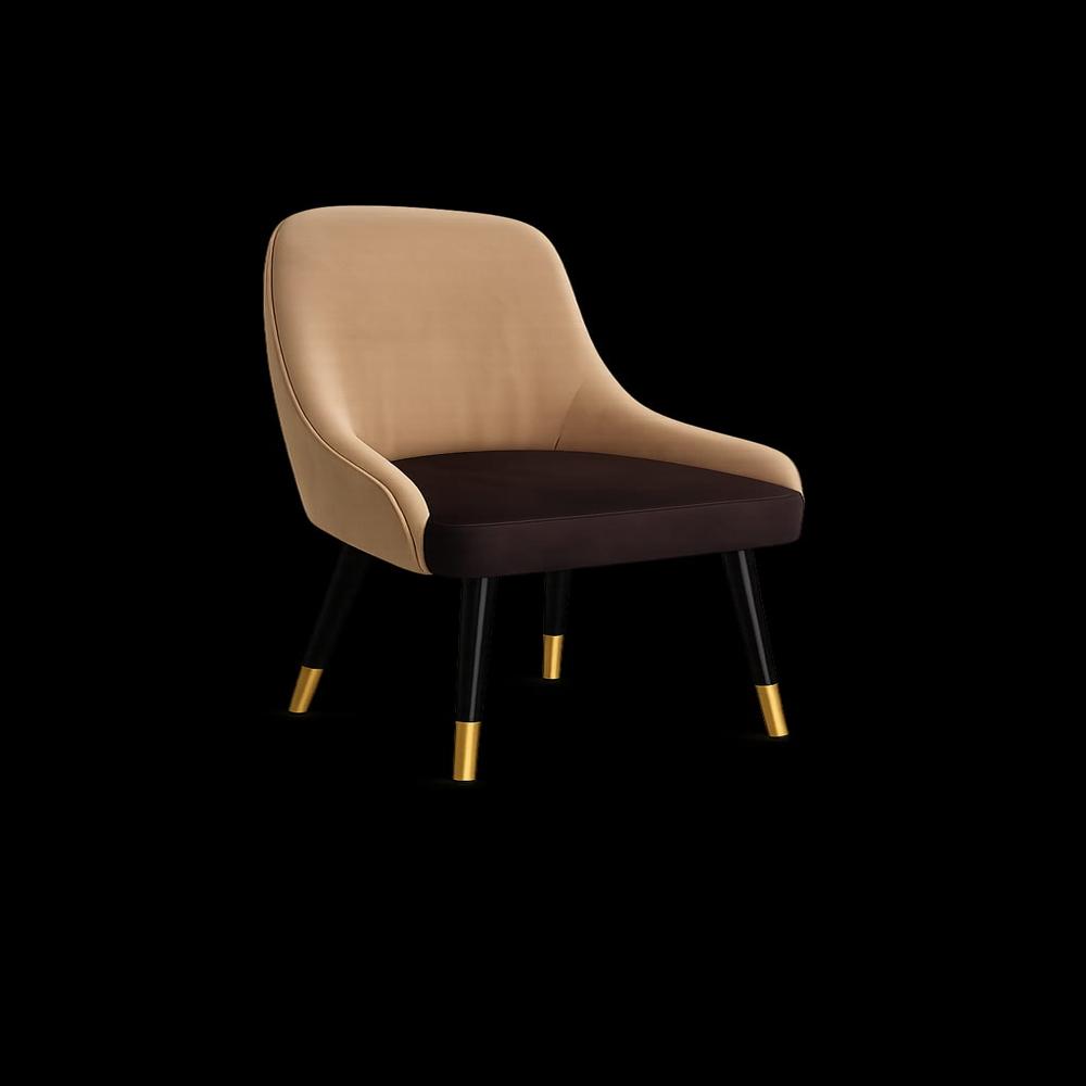 Fancy Cafe Chair - Application: Restaurants   Premium Dining Seating For Customers Hotels & Resorts   Dining Areas