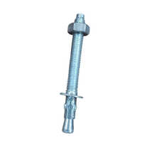 100mm M10 Stainless Steel Bolts