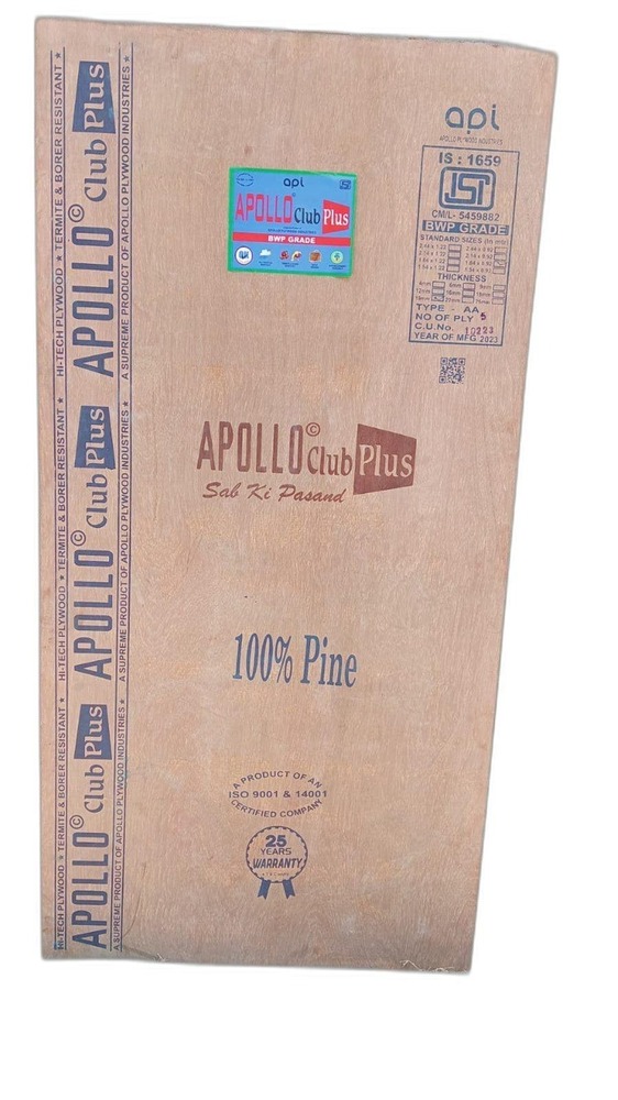 Apollo Club Plus Plywood